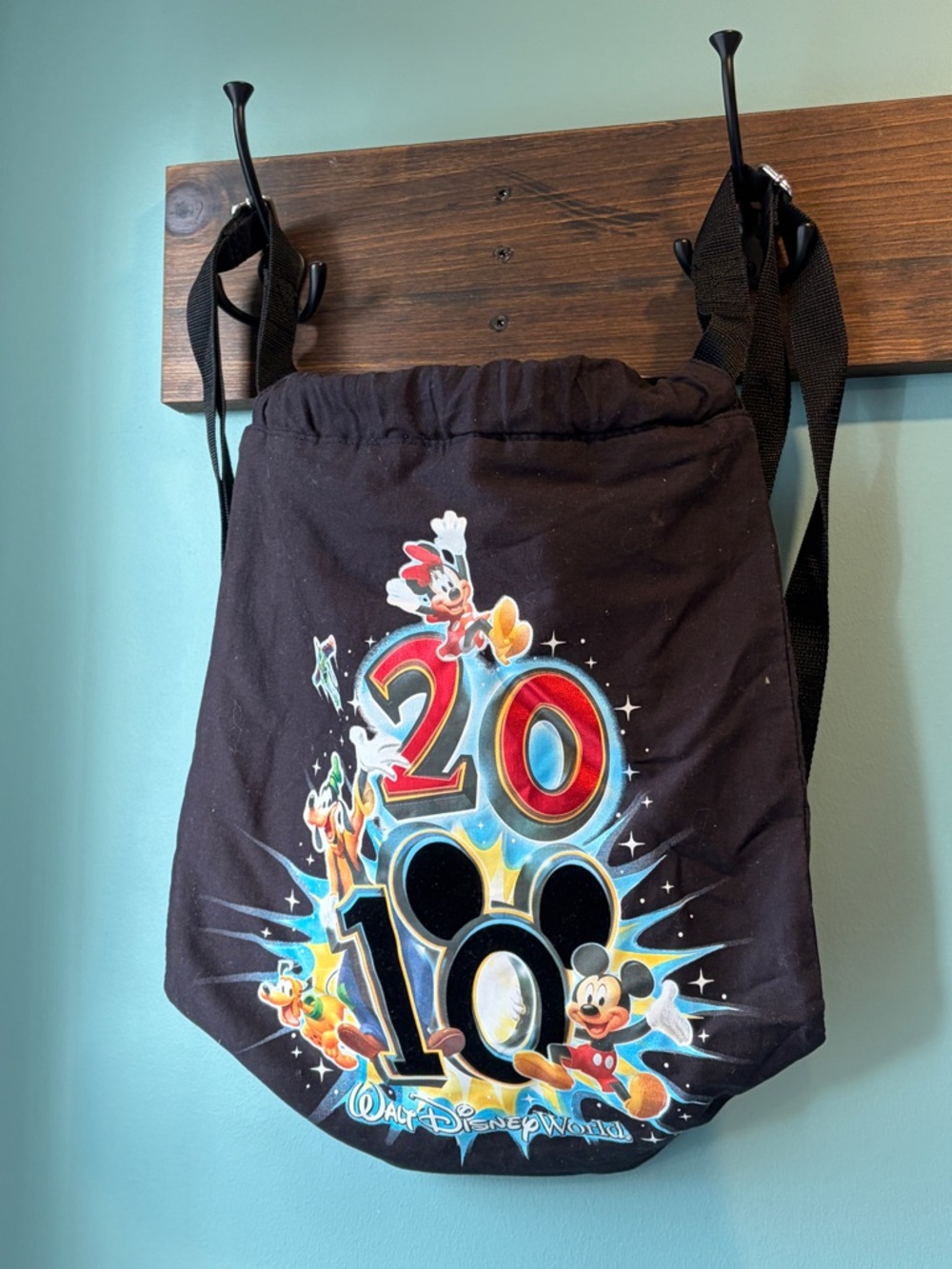 Disney Parks Backpack Bundle – 2009 & 2010 Walt Disney World Souvenir Bags - Picture 5 of 8
